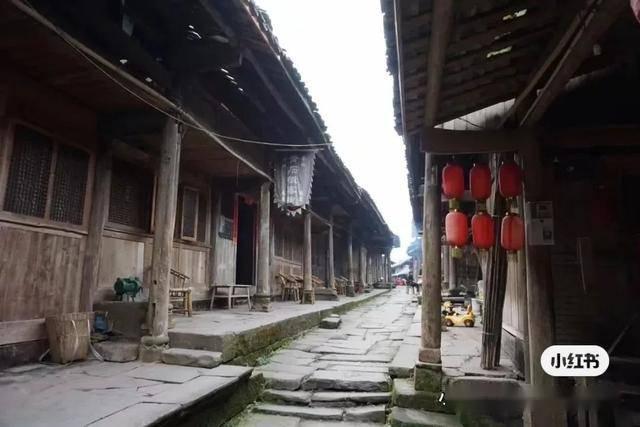 诸葛亮打野钟无艳上单，QG被载入史册的BP！刺痛直言低段位阵容
